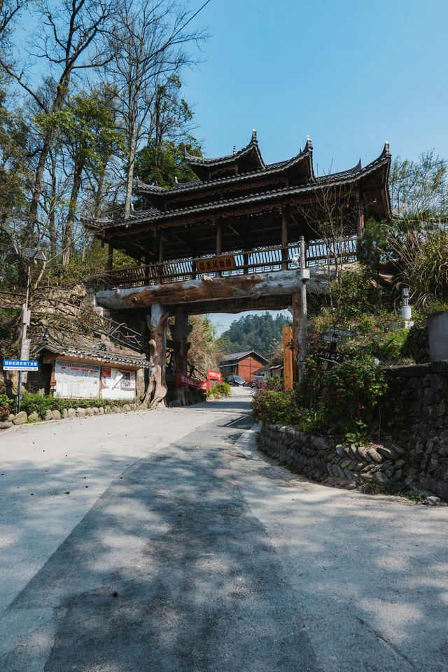 【跟著樂里去探秘】龍塘苗寨春日打卡全攻略
