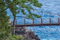 帶你玩轉伊豆半島~~~