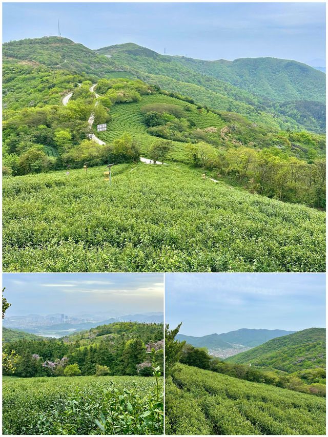 放棄三亞了，舟山真的很美