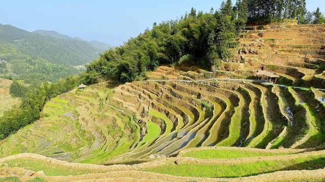 婁底|紫鵲界梯田|旅遊攻略齊全