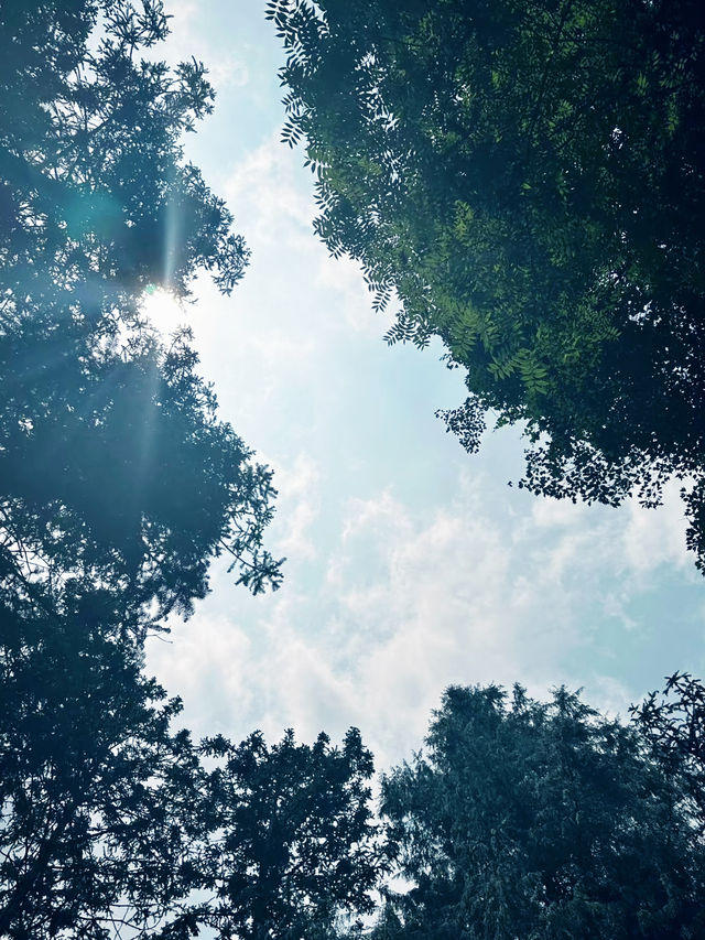 【荊門太子山生態旅遊區體驗】探秘自然奇境，暢享生態樂趣
