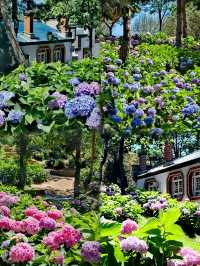 大連英歌石植物園，賞花遛娃兒一站式