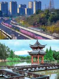 瀘州已回，能勸一個是一個。