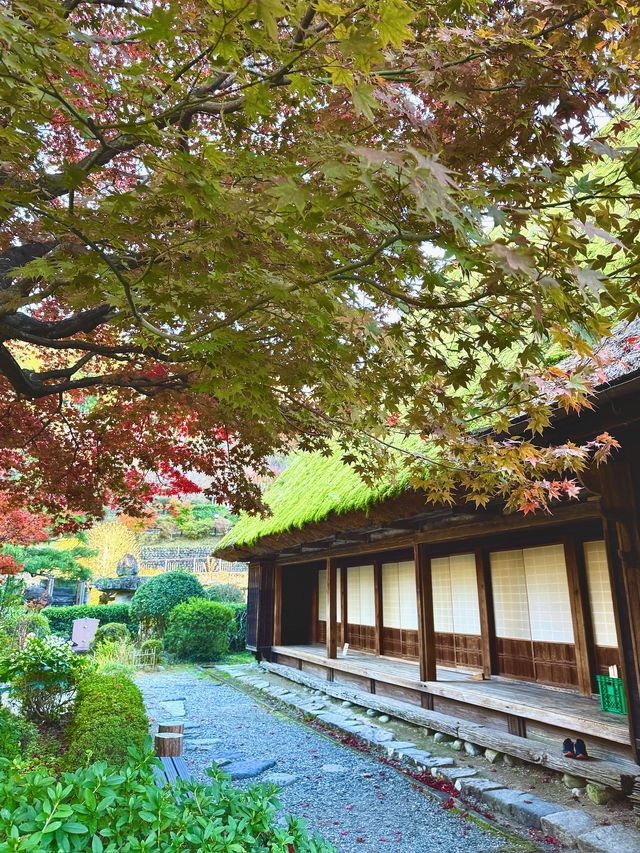 《下呂溫泉合掌村》