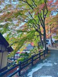《下呂溫泉合掌村》