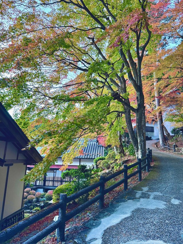 《下呂溫泉合掌村》