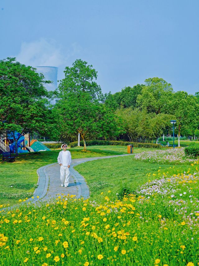 關於合肥春天嘅詩應該留喺大房郢體育公園
