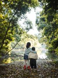 南昌踏青·象山森林公園超全攻略