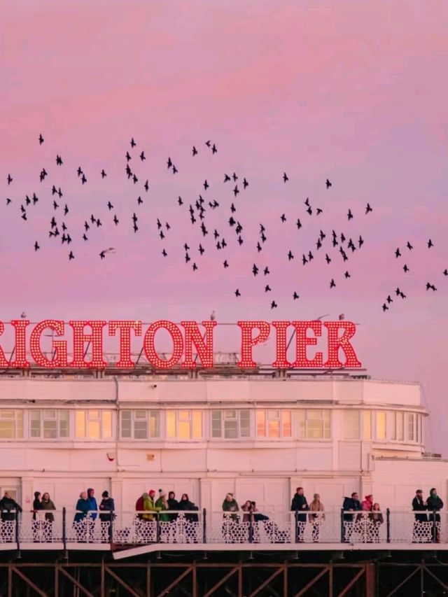 Brighton, UK: A Romantic Orange Sea View🩶