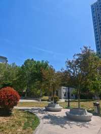 濰坊知微園｜小眾寶藏園林打卡攻略