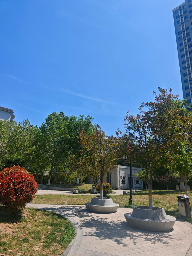 濰坊知微園｜小眾寶藏園林打卡攻略