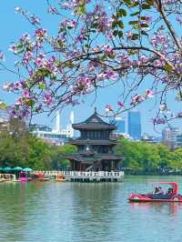 廣東惠州西湖！嶺南偏愛的城市