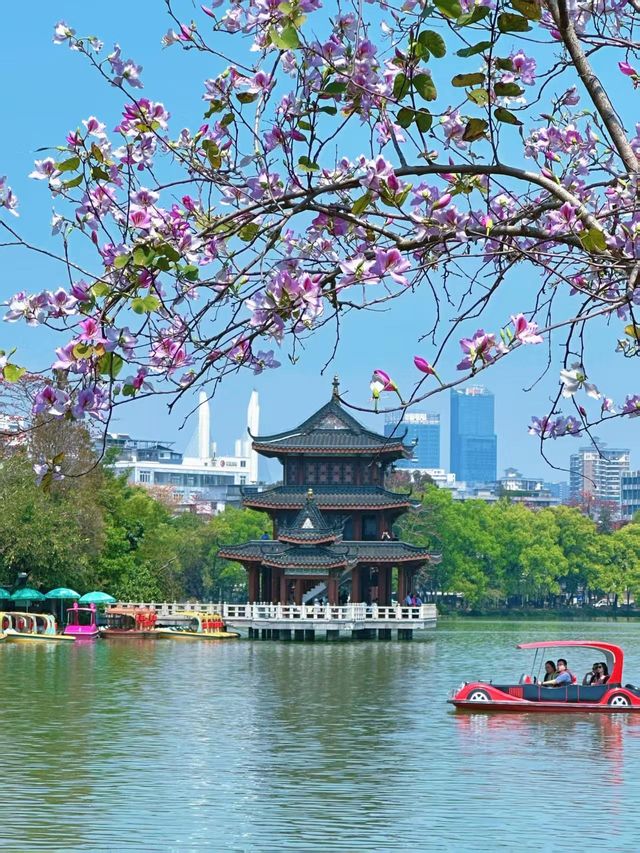 廣東惠州西湖！嶺南偏愛的城市