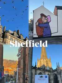 A Day of Strolling in Sheffield - University of Sheffield😍❤️‍🔥