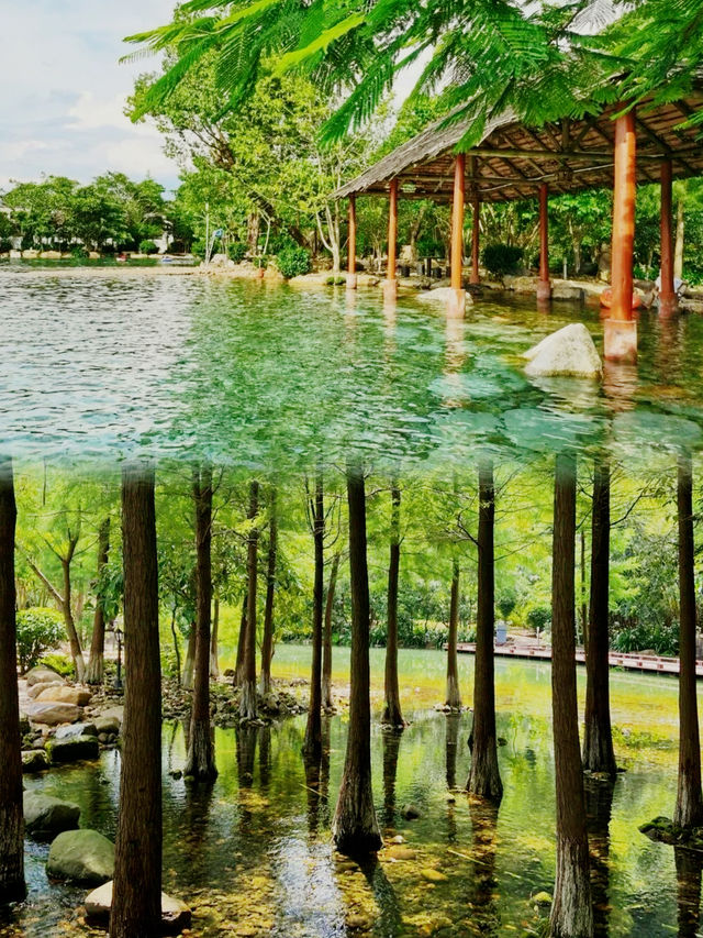玩水天花板避暑勝地最清涼最寫意嘅地方