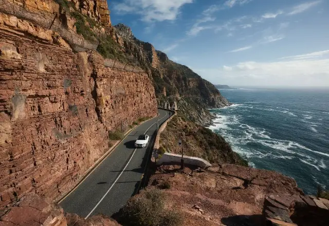 Cape Town Family Adventure: Alpaca Feeding, Coastal Drives & Bird Encounters