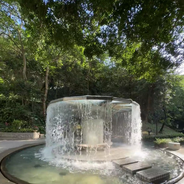 🇭🇰香港公園 | 藏在鬧市裡的綠洲