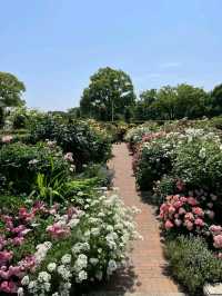 東京山下海濱公園交通攻略：探索海濱美景的便捷指南