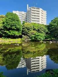 東京舊古河庭園交通全攻略：尋訪靜謐玫瑰園的悠閒路徑 