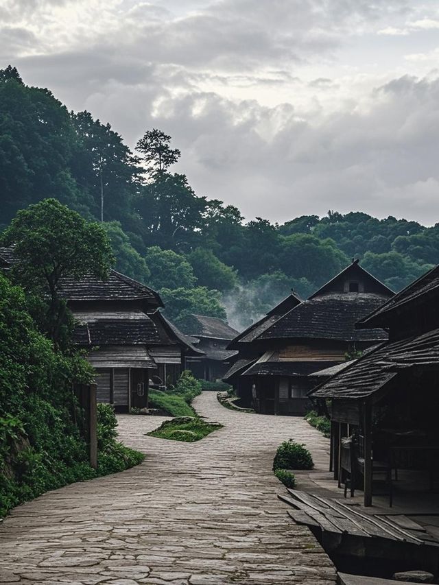 普洱帶娃修仙失敗！呢3個坑令我諗住承包咖啡園