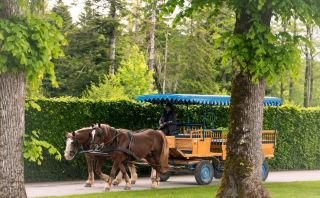 ปราสาทเทพนิยายและเทศกาลเบียร์ในมิวนิก