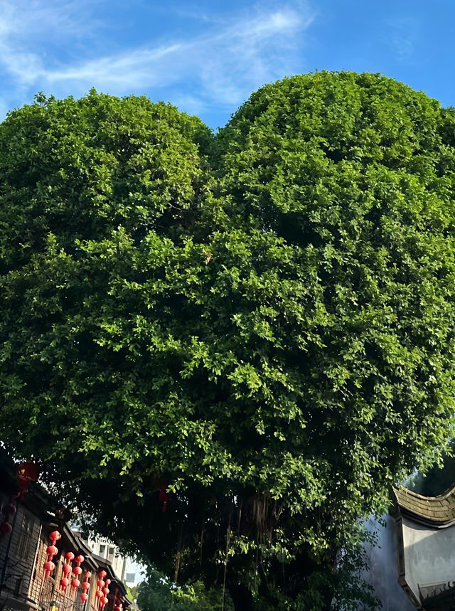 被呢間酒店圈粉，解鎖福州新玩法