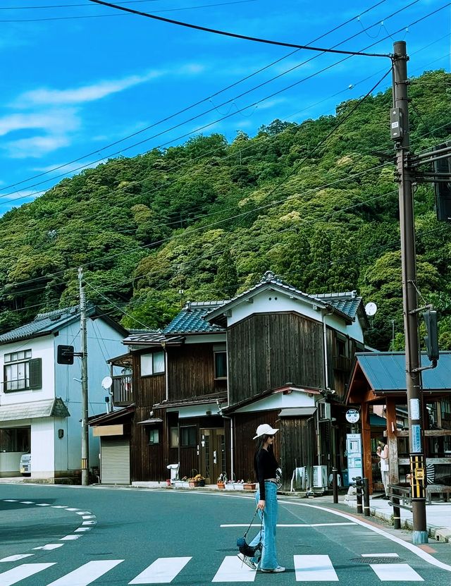 大阪/京都出發，伊根舟屋天橋立跟團推薦