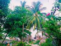 No Crowds, No Problem: Ao Hin Wong's Backpacker Dive Scene