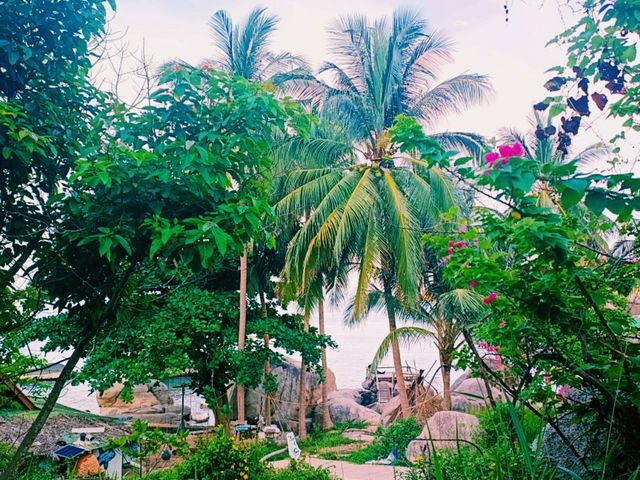 No Crowds, No Problem: Ao Hin Wong's Backpacker Dive Scene