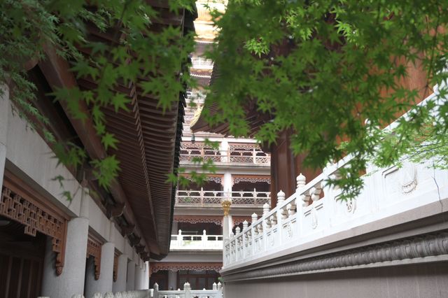 上海一煌びやかなお寺　静安寺
