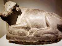 Secrets of the Han Dynasty: Exploring the Huize Tomb Museum’s Ancient Treasures