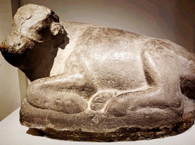 Secrets of the Han Dynasty: Exploring the Huize Tomb Museum’s Ancient Treasures