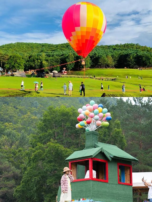 伊春避暑秘笈20℃森系治癒