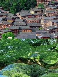 都君已回，講啲難聽嘅大實話