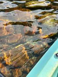 🚣‍♀️ 西貢綠蛋島獨木舟一日遊 | 人均$12.5直達果凍海！ 