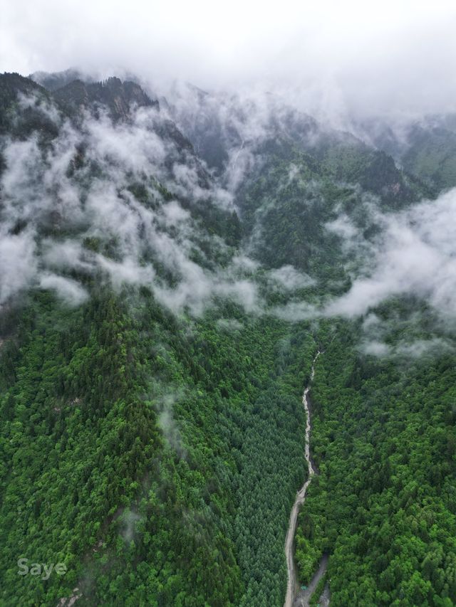 放氧計劃去冇天花板嘅地方