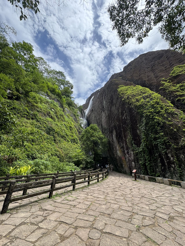 Wuyi Mountain: A Rain-Soaked Journey Full of Quiet Beauty