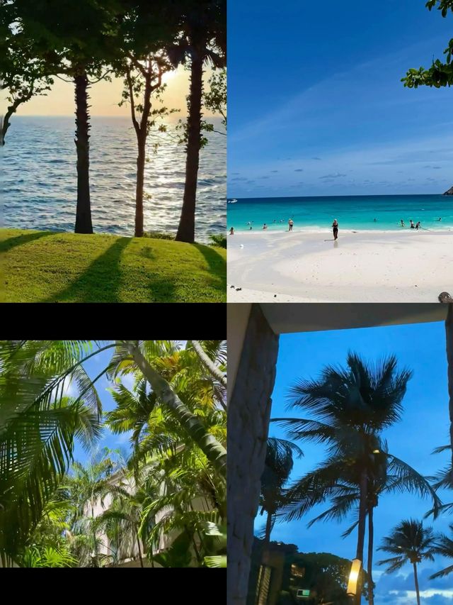普吉島奇遇記 | 闖入海島萌物的治癒世界，浪漫到不想離開！