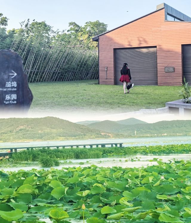 度假感唔輸海島｜蘇州呢間親子酒店太正啦