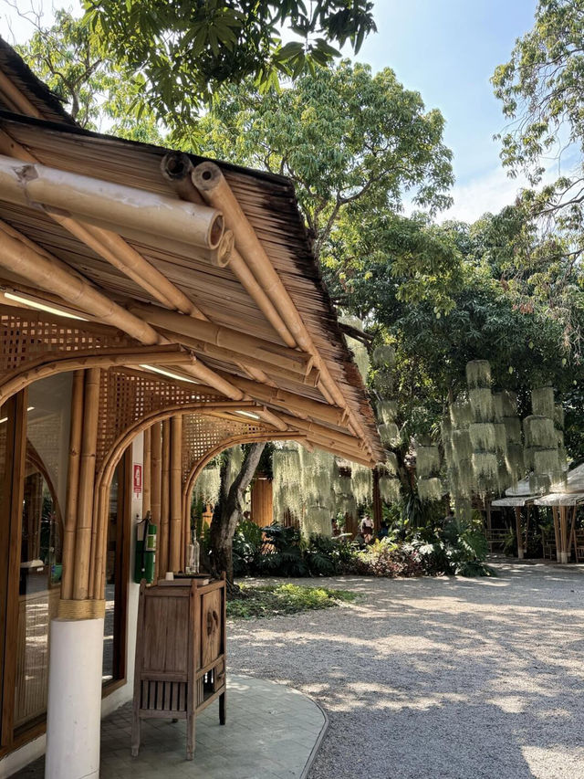 曼谷咖啡廳神級打卡｜Nature Cafe 承包湄南河森系慢生活☕️