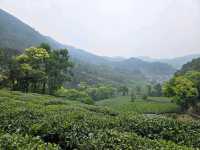 必去！杭州龍井山的N種神仙體驗