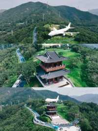 舟山定海｜兩日一夜小眾寶藏打卡路線