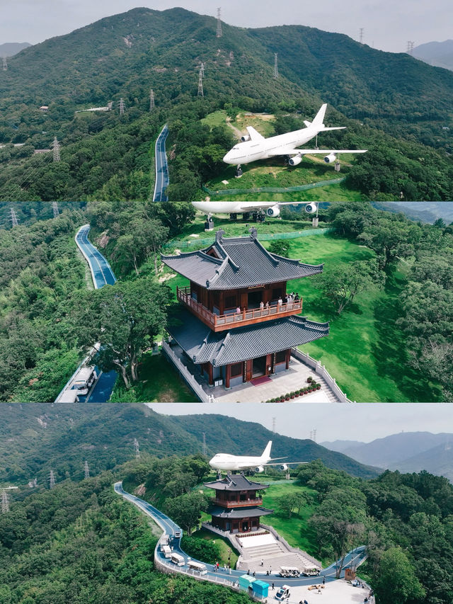 舟山定海｜兩日一夜小眾寶藏打卡路線