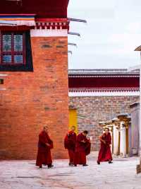 相信我，呢篇係你一定未見過嘅甘南旅遊攻略