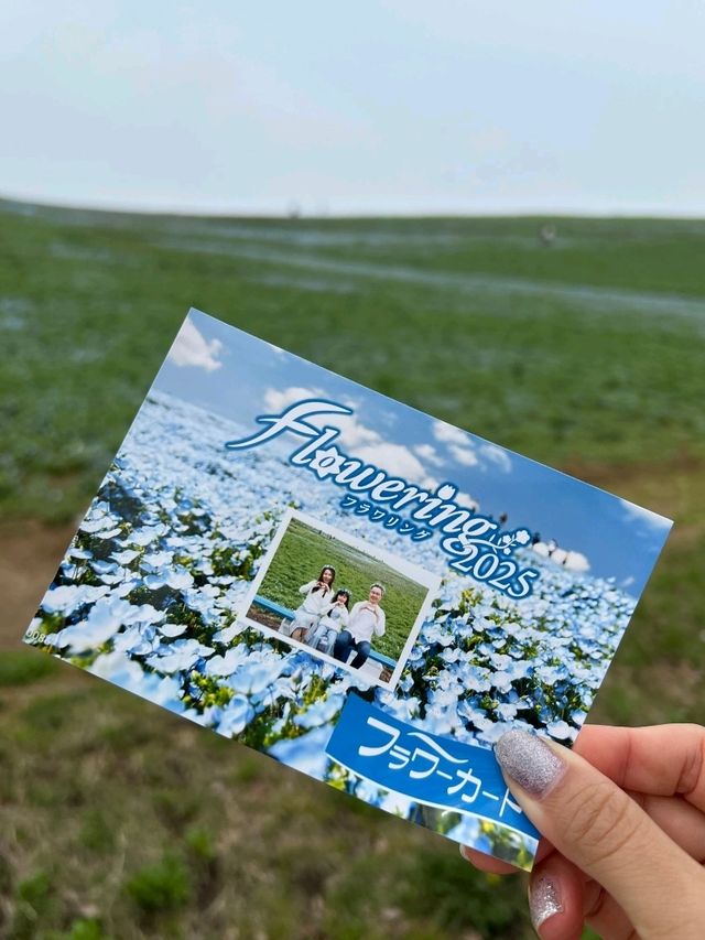 日本東京國營常陸海濱公園一日遊，賞花親子遊）🌼🎢  