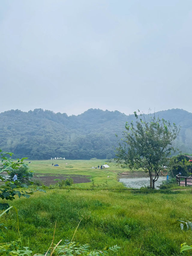 信陽小眾深度遊攻略：豫南山水與茶香之旅