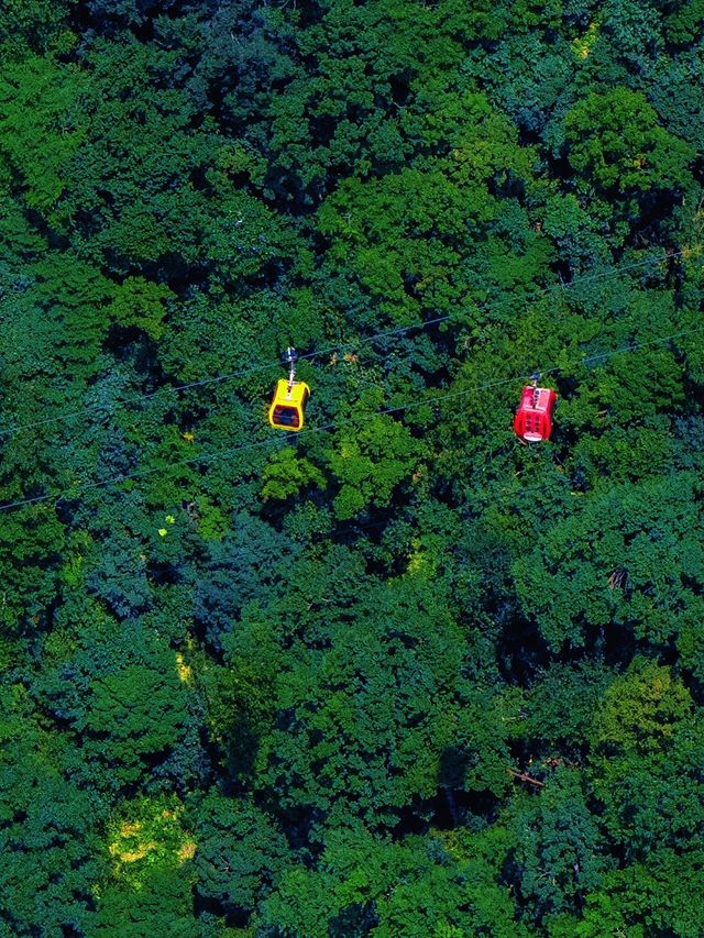 衝入雲端懸崖！這處90°垂直秘境藏著地球心跳