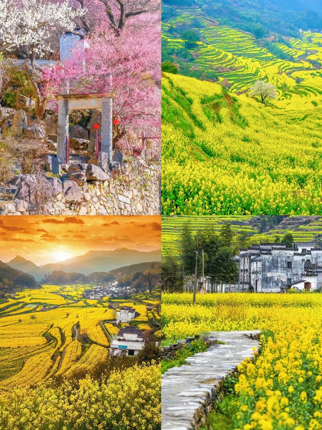 婺源旅遊攻略 | 小眾寶藏地不踩雷