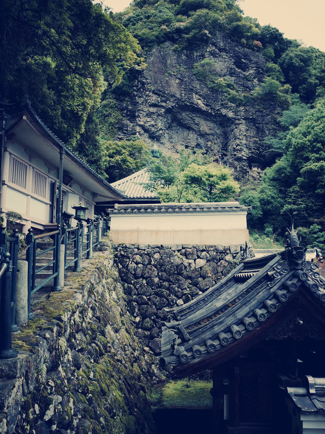 **【穿越千年唐風！上海寶山寺沉浸式體驗記】**  