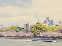 大阪隱世賞櫻秘境！櫻之宮公園浪漫體驗全記錄】**  